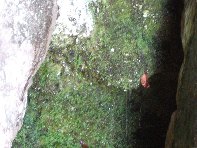 qua Rocca20100328 120